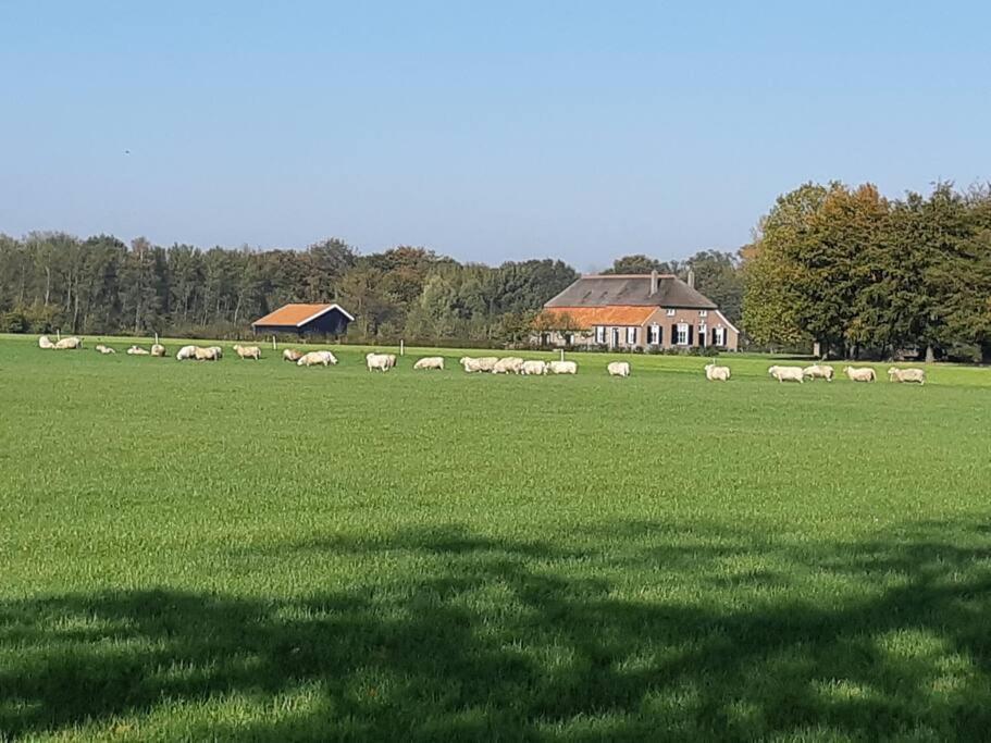 B&B Joostink In فوردين المظهر الخارجي الصورة